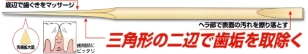 歯間ようじ「ドクターピック」